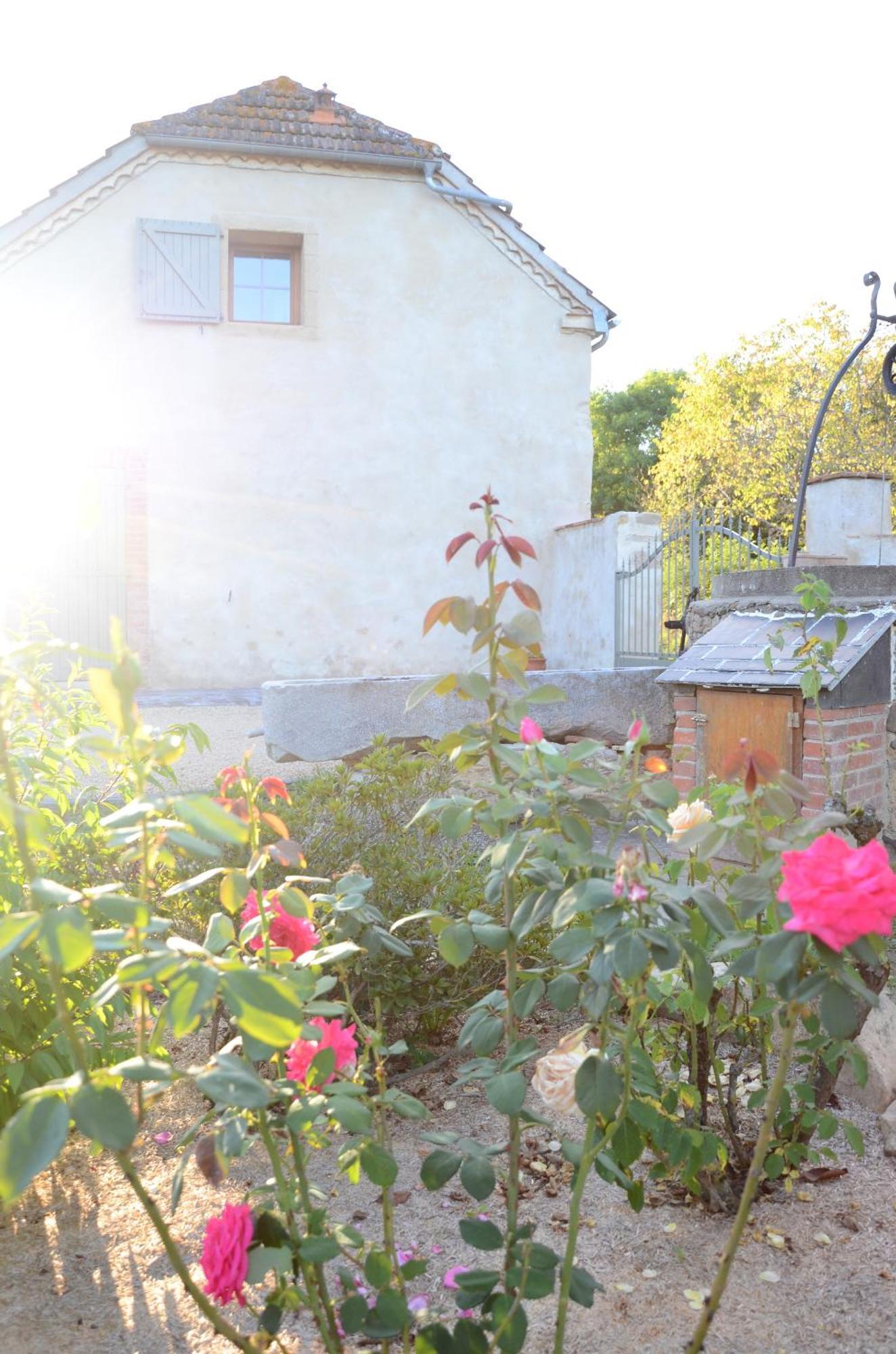 Ecogite Rural La Cle Des Champs Peyrelongue-Abos Rom bilde