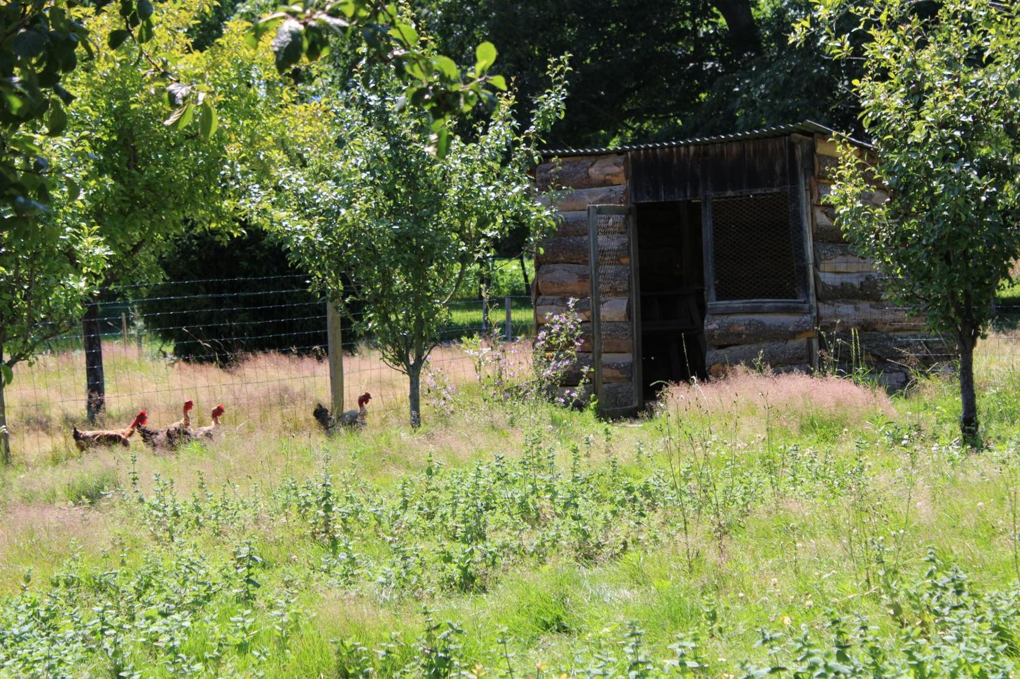 Ecogite Rural La Cle Des Champs Peyrelongue-Abos Rom bilde